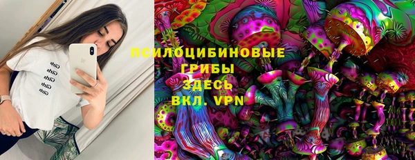 МДПВ Горнозаводск