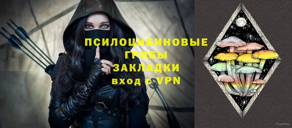 мяу мяу мука Иннополис