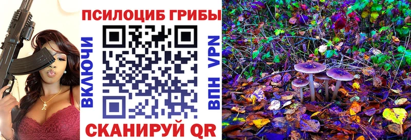 Псилоцибиновые грибы Psilocybine cubensis Гагарин